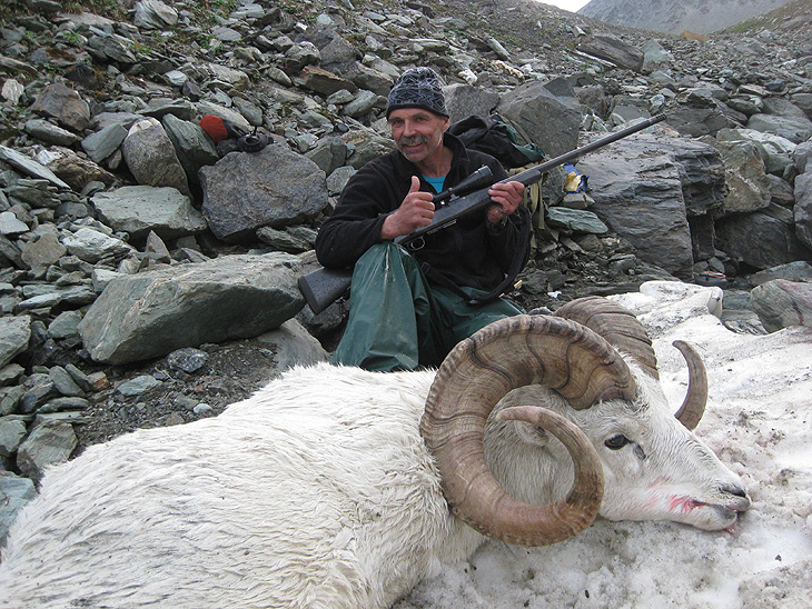 Alaskan Sheep